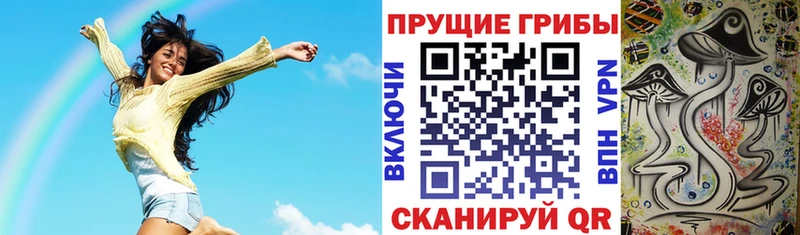 Галлюциногенные грибы Cubensis  Зерноград 